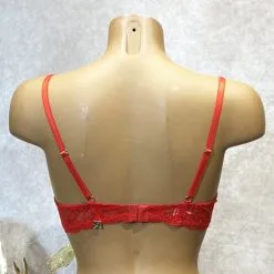 Collection Exclusive Paradise Boutik Soutien-gorge Demi Sein Broderie Florale 18 Collection Exclusive Paradise Boutik Soutien-gorge Demi Sein Broderie Florale -Sextoys boutique soutien gorge demi sein 6